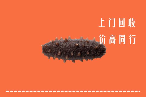 高价求购：市中区回收海参