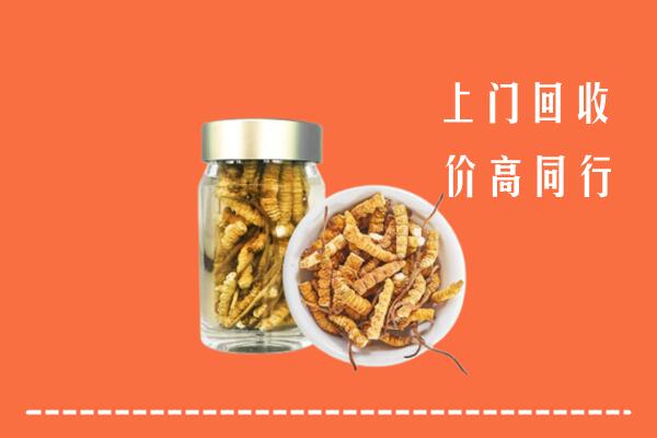 市中区回收冬虫夏草